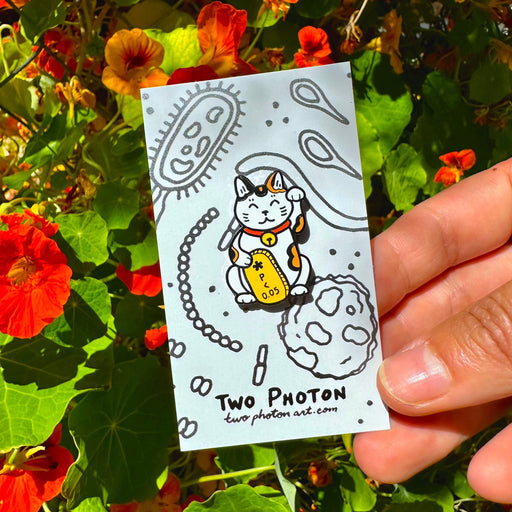 Lucky p-value Lab Cat Enamel Pin
