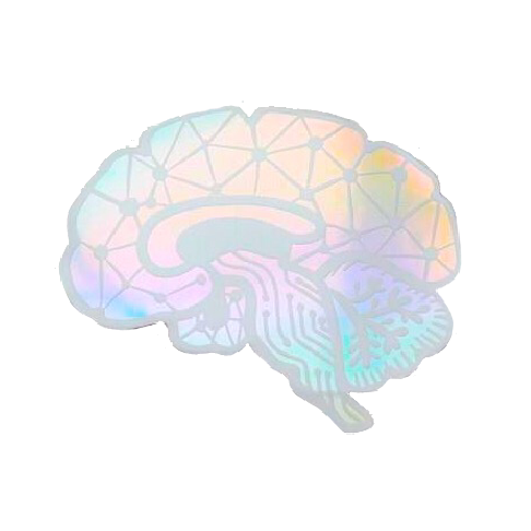 Holographic Brain Sticker