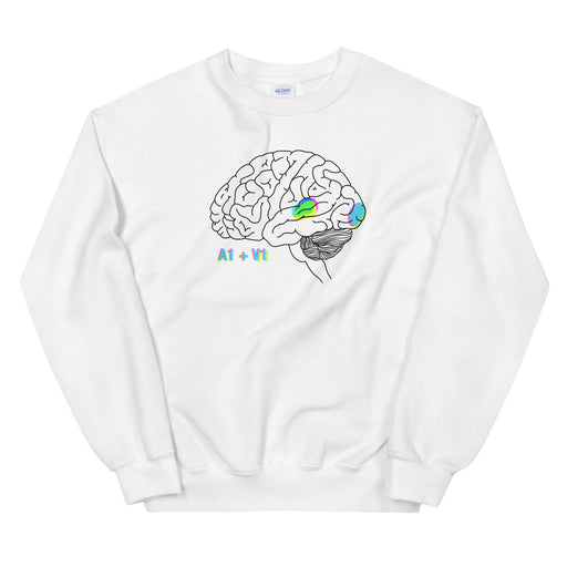 A1 + V1 Sweatshirt